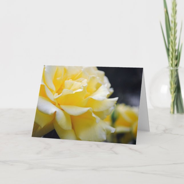 Yellow Rose Floral 5 Card (Front)