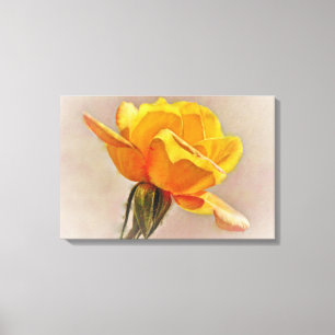Yellow Rose Flower Art Floral Canvas Print