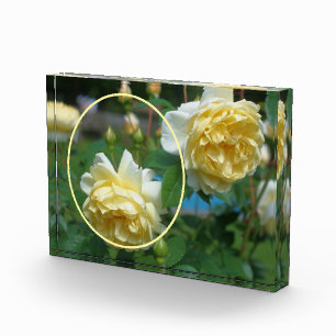 Yellow Rose Flower Create Your Own Photo Block