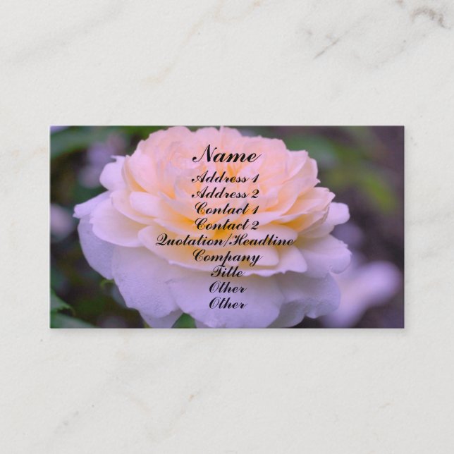 Yellow Rose Flower In Bloom Business Card (Front)