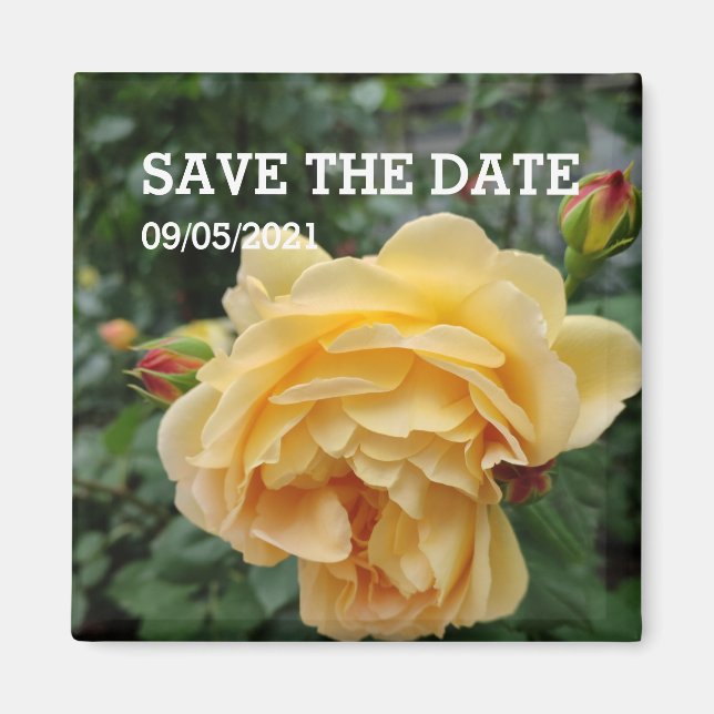 Yellow rose flower magnet (Front)