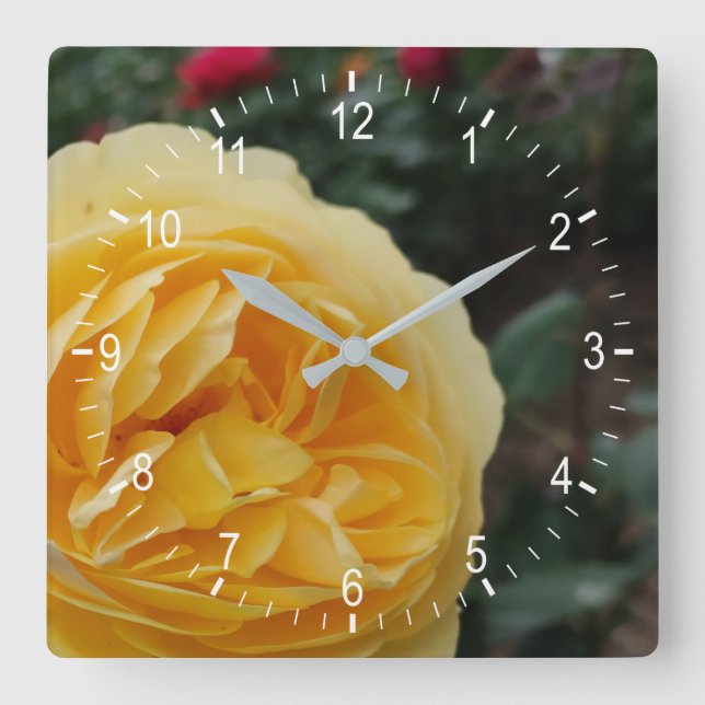 Yellow rose flower square wall clock (Front)
