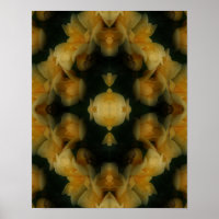 Yellow Rose Flowers Abstract Nature Art 