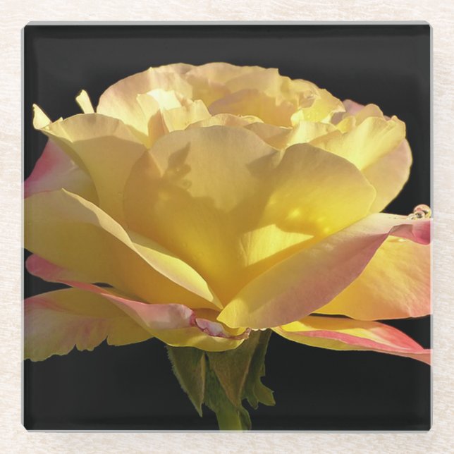 Yellow Rose Glass Coaster (Front)