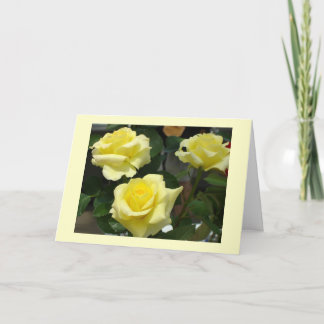 Yellow Rose Greeting Card