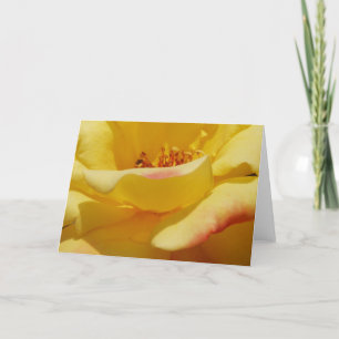 Yellow Rose Greeting Card