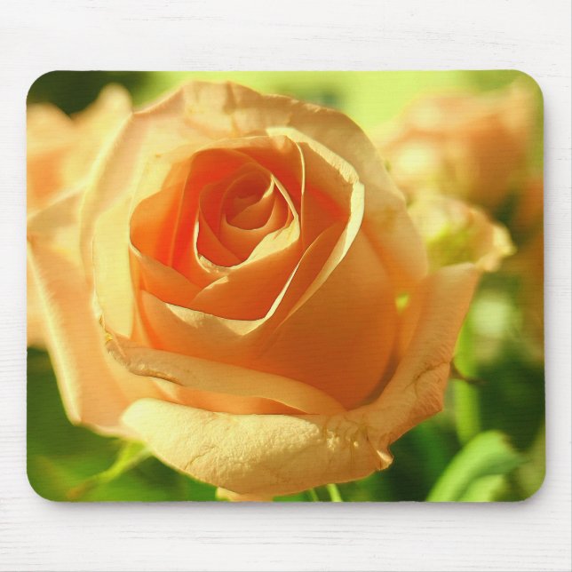 Yellow Rose in Full Bloom Mouse Pad (Front)