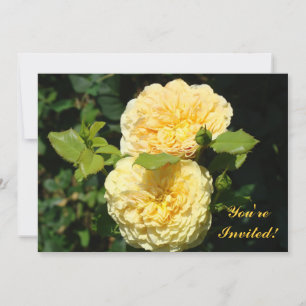 Yellow Rose Invitations Cards You're Invited!