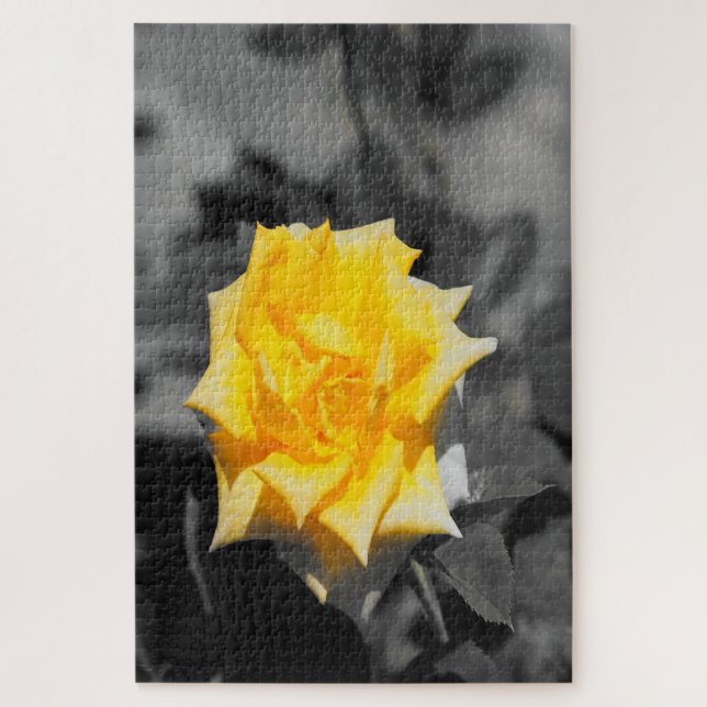 Yellow rose jigsaw puzzle (Vertical)