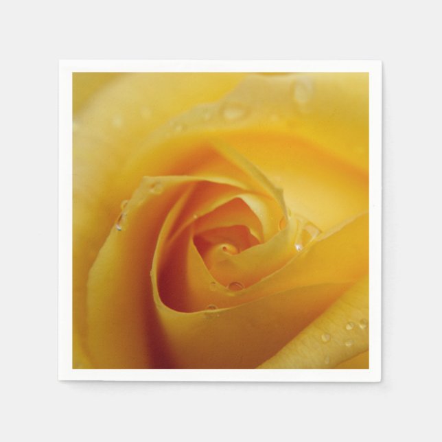 Yellow Rose & Lights Napkins (Front)