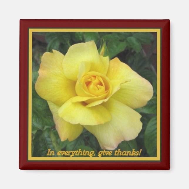 Yellow rose magnet (Front)