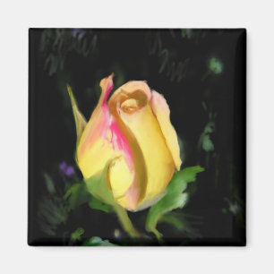 Yellow rose - magnet
