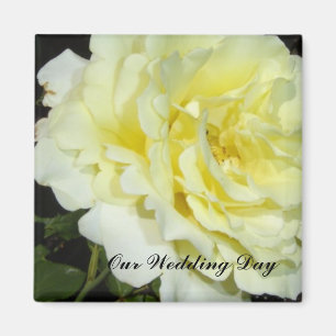 Yellow Rose Magnet