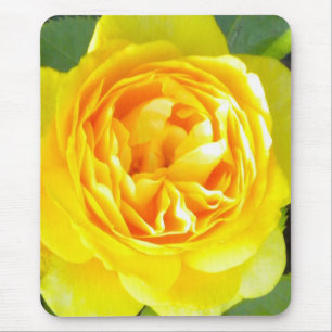 Yellow Rose Mouse pad