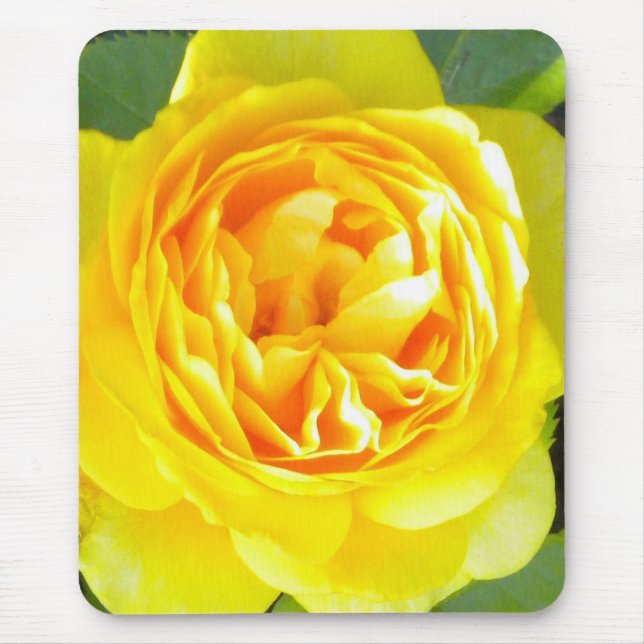 Yellow Rose Mouse pad (Front)