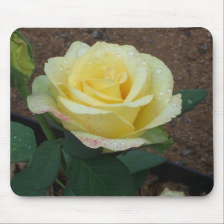 Yellow Rose Mouse Pad