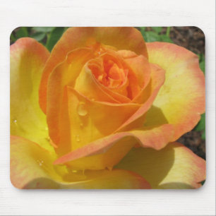 Yellow Rose Mouse Pad