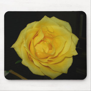 yellow rose mouse pad