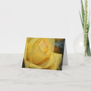 Yellow Rose Note Cards