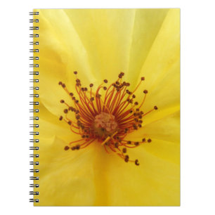 Yellow Rose Notebook