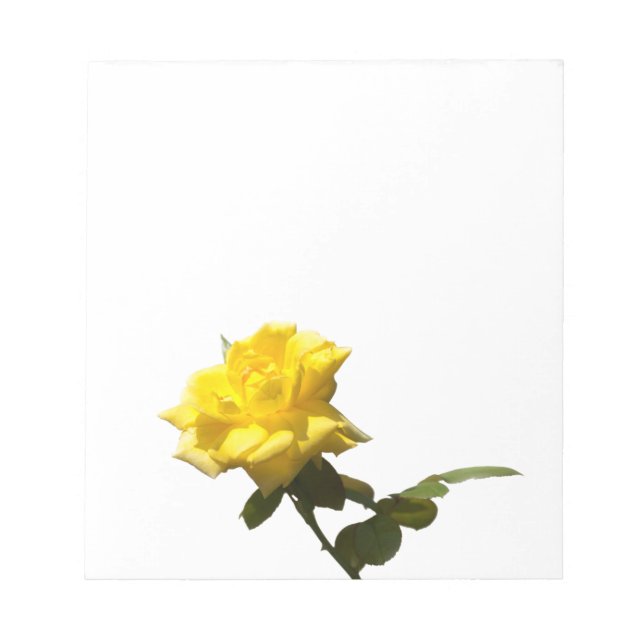 Yellow rose notepad (Front)