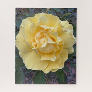 Yellow Rose, Oakland Jigsaw Puzzle