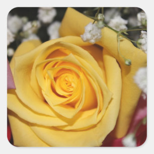 Yellow Rose Petal Sticker