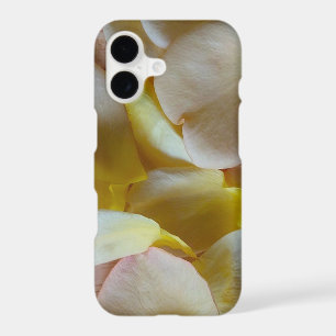 Yellow Rose Petals