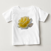 Yellow rose petals