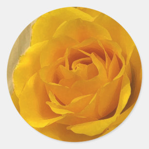 Yellow Rose Petals Classic Round Sticker
