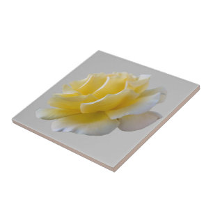 Yellow rose petals tile
