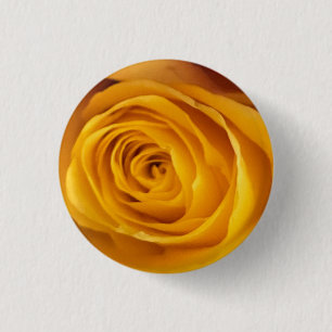 Yellow Rose Photo Button