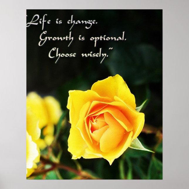Yellow Rose Photo ~ Life is Change, Choose Wisely Poster (Front)
