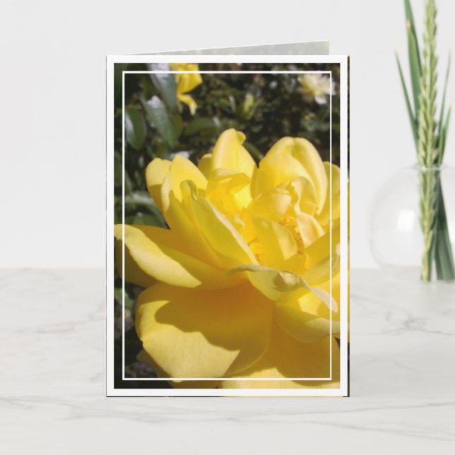 Yellow Rose Photo on Blank Card (Front)