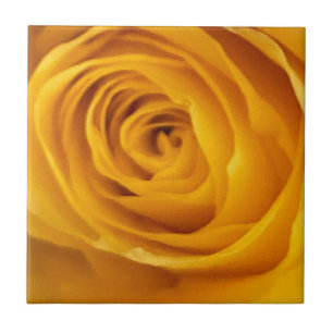 Yellow Rose Photo Tile