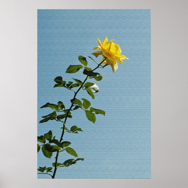 Yellow Rose Poster (Front)