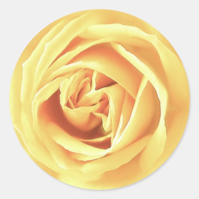 Yellow rose print classic round sticker (Front)