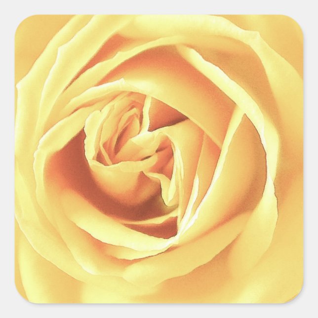 Yellow rose print square sticker (Front)