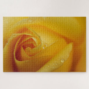 Yellow Rose Puzzle