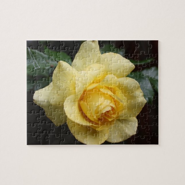 Yellow Rose Puzzle (Horizontal)