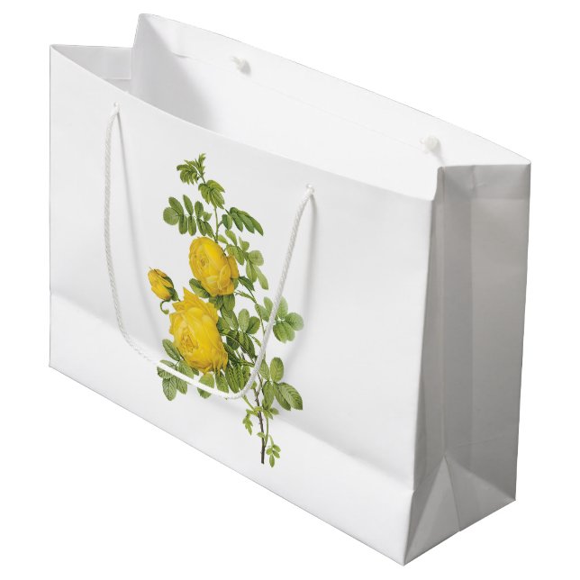 yellow rose(Rosa sulfurea) by Redouté Large Gift Bag (Front Angled)