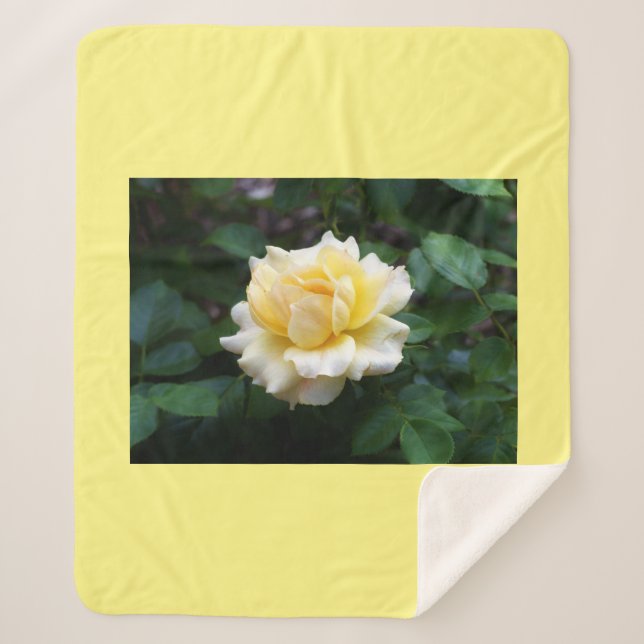 Yellow Rose Sherpa Blanket (Front)