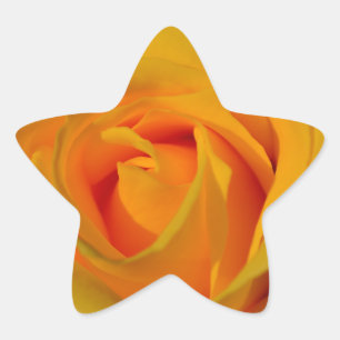 Yellow Rose Star Sticker
