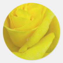 Yellow Rose Sticker