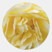 Yellow Rose Sticker