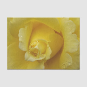 Yellow Rose Tissue Paper
