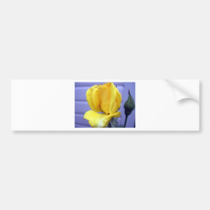 Yellow Rosebud Bumper Sticker