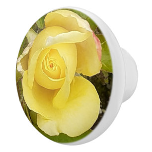 Yellow Rosebud Ceramic Knob