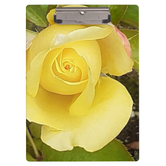 Yellow Rosebud Clipboard (Front)
