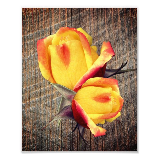 Yellow Rosebud Flowers On Barnboard 8x10 Photo Print (Front)